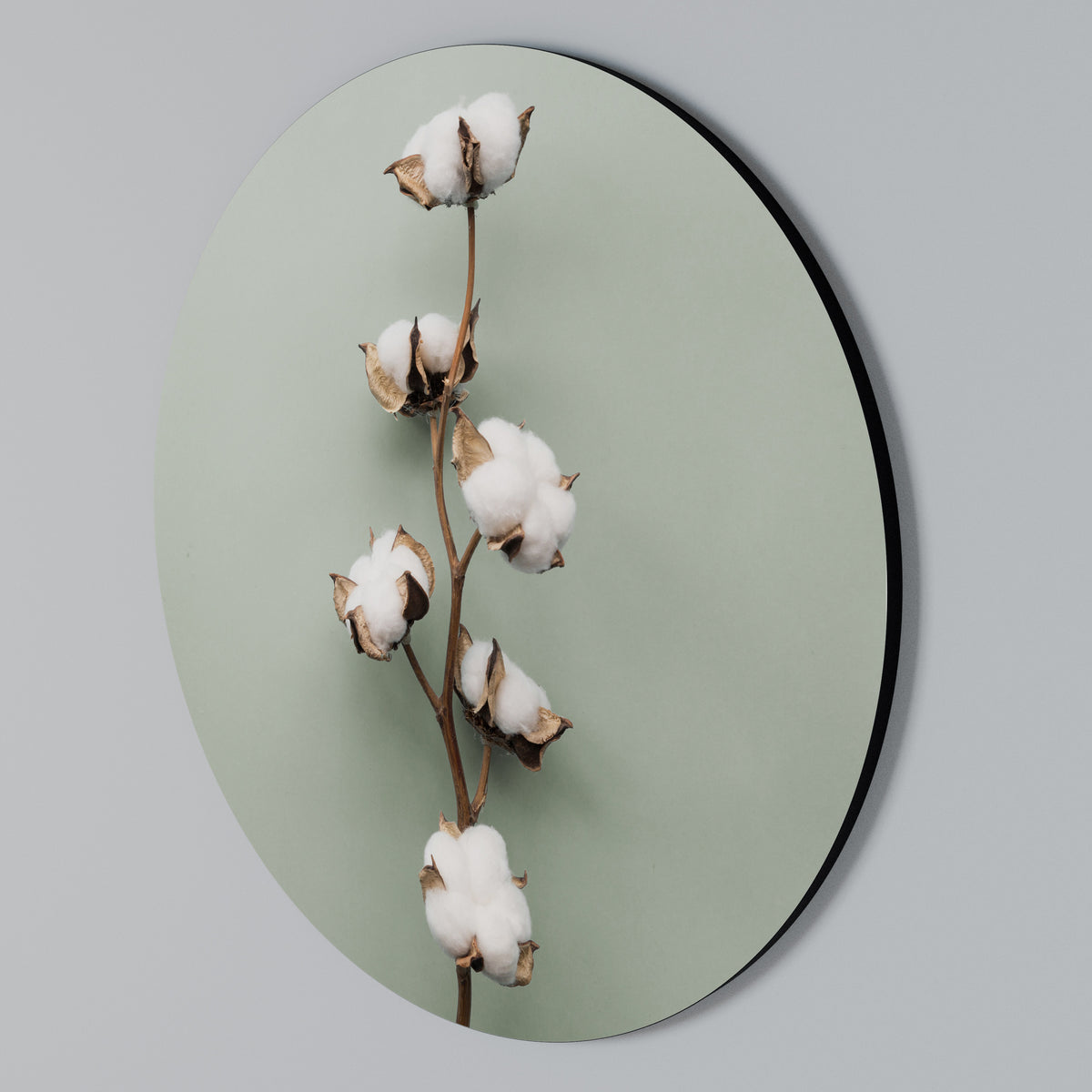 COTTON DREAMS UNFOLDED Arte de pared redondo