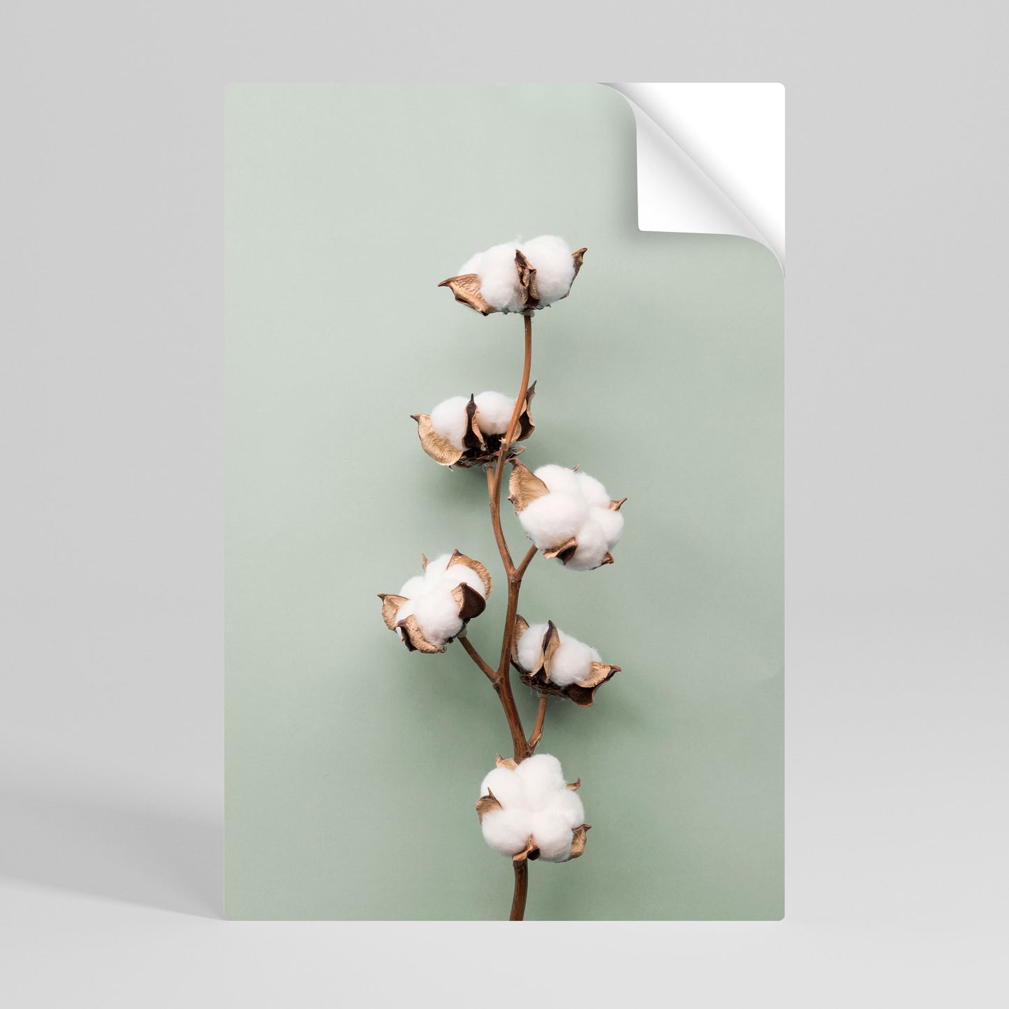 COTTON DREAMS UNFOLDED Poster Verticale Adesivo