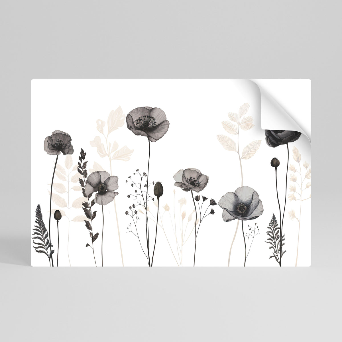 POPPY ALLURE Póster adhesivo horizontal
