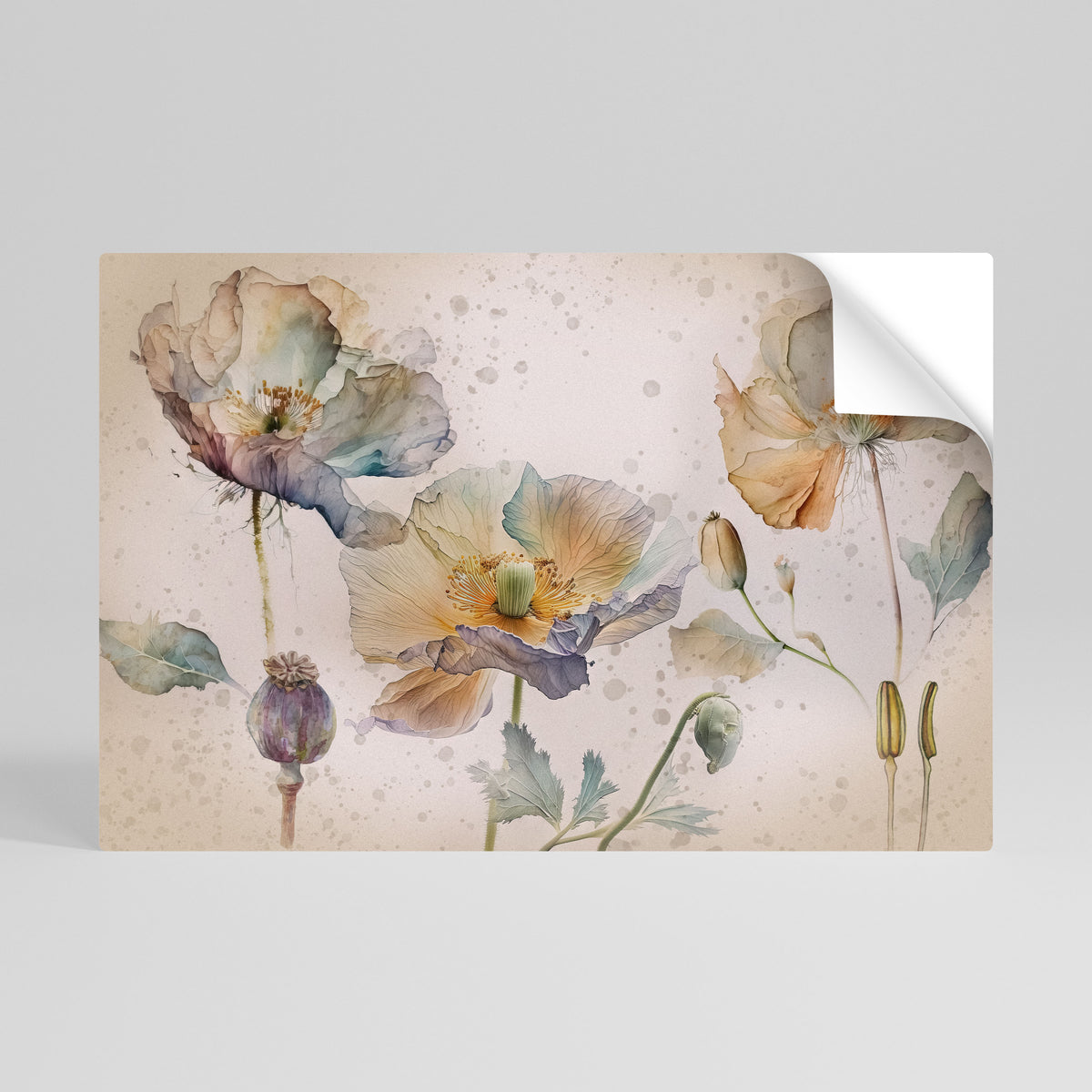 SOFTEN POPPY Poster Orizzontale Adesivo