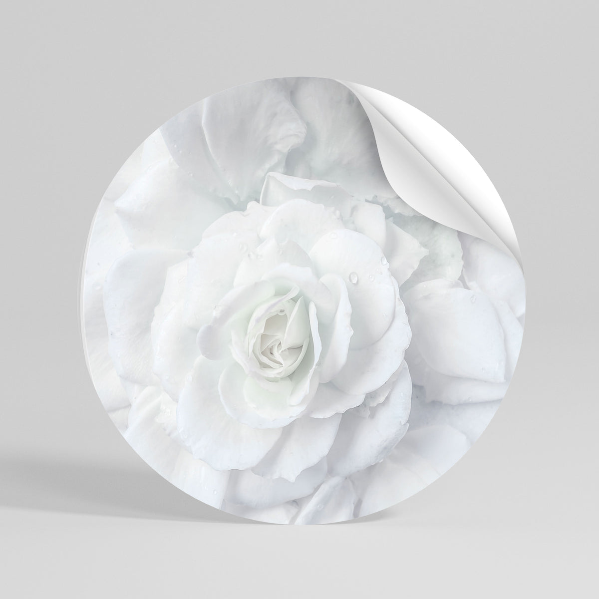 ELEGANCE IN CLARITY Runder Wandsticker zum Abziehen und Aufkleben
