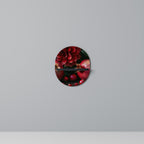 DAHLIAS AND POMEGRANATES Decorative Art Shelf