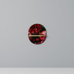 DAHLIAS AND POMEGRANATES Decorative Art Shelf