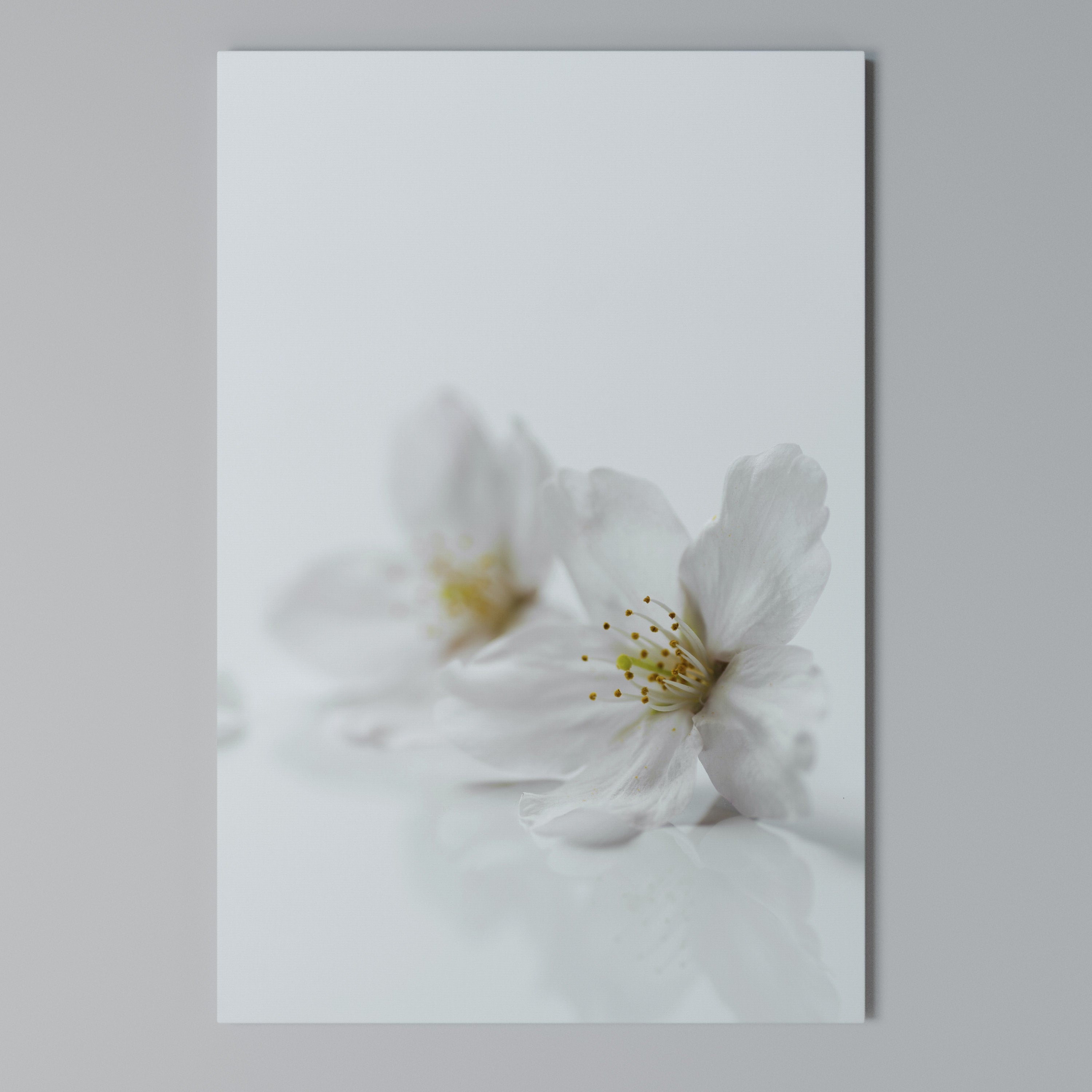 FLEETING WHITE PETALS Quadro em tela vertical