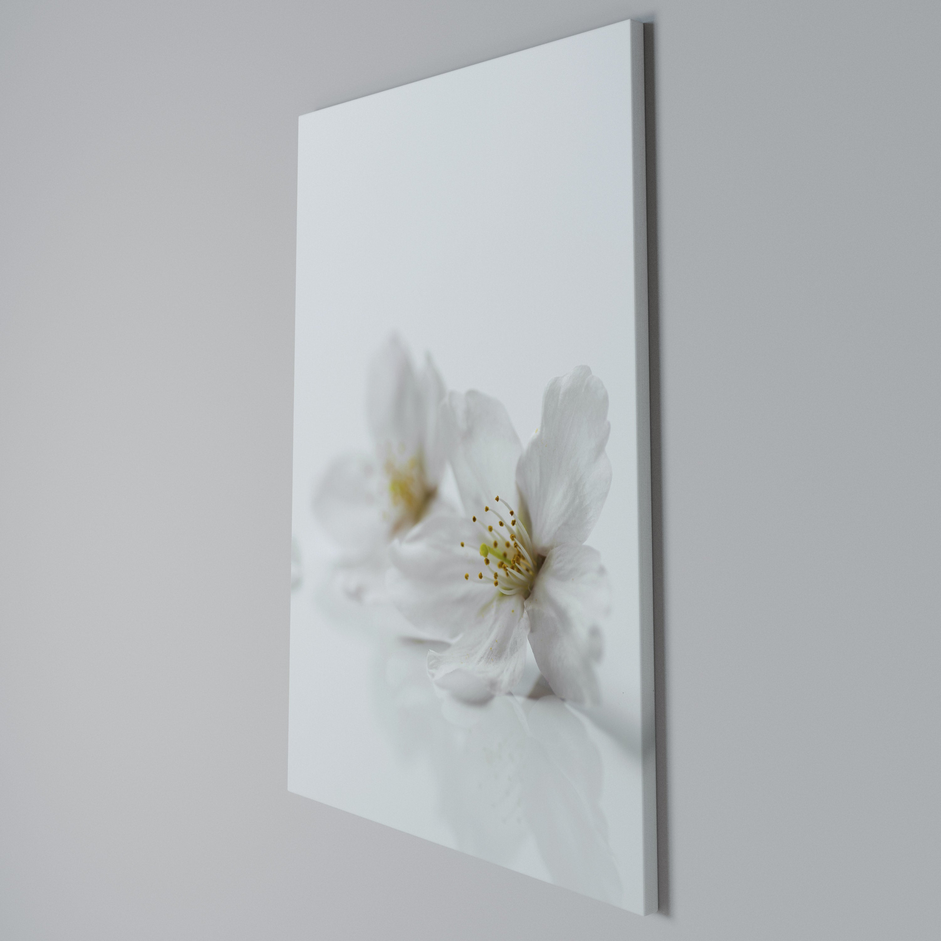 FLEETING WHITE PETALS Quadro em tela vertical