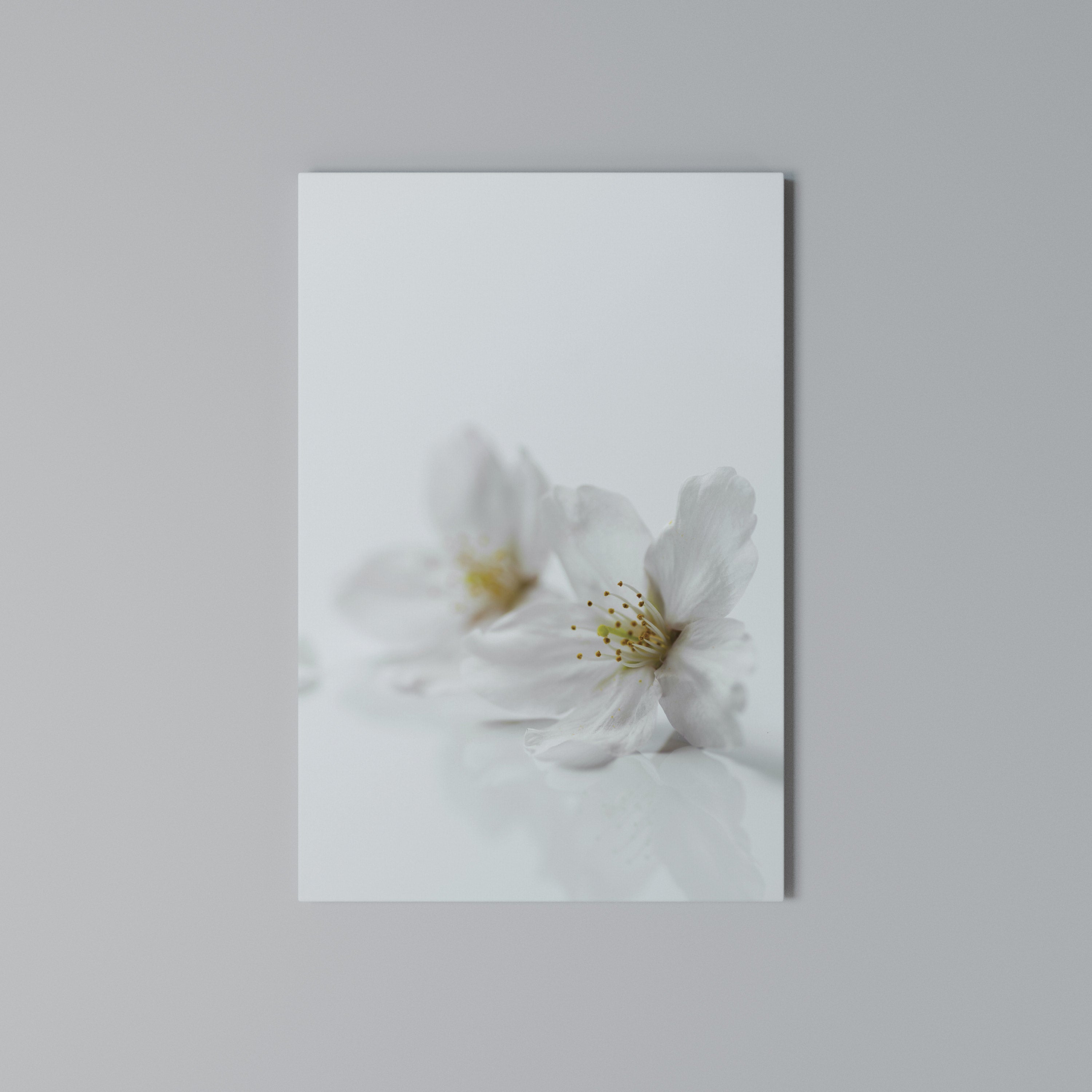 FLEETING WHITE PETALS Quadro em tela vertical