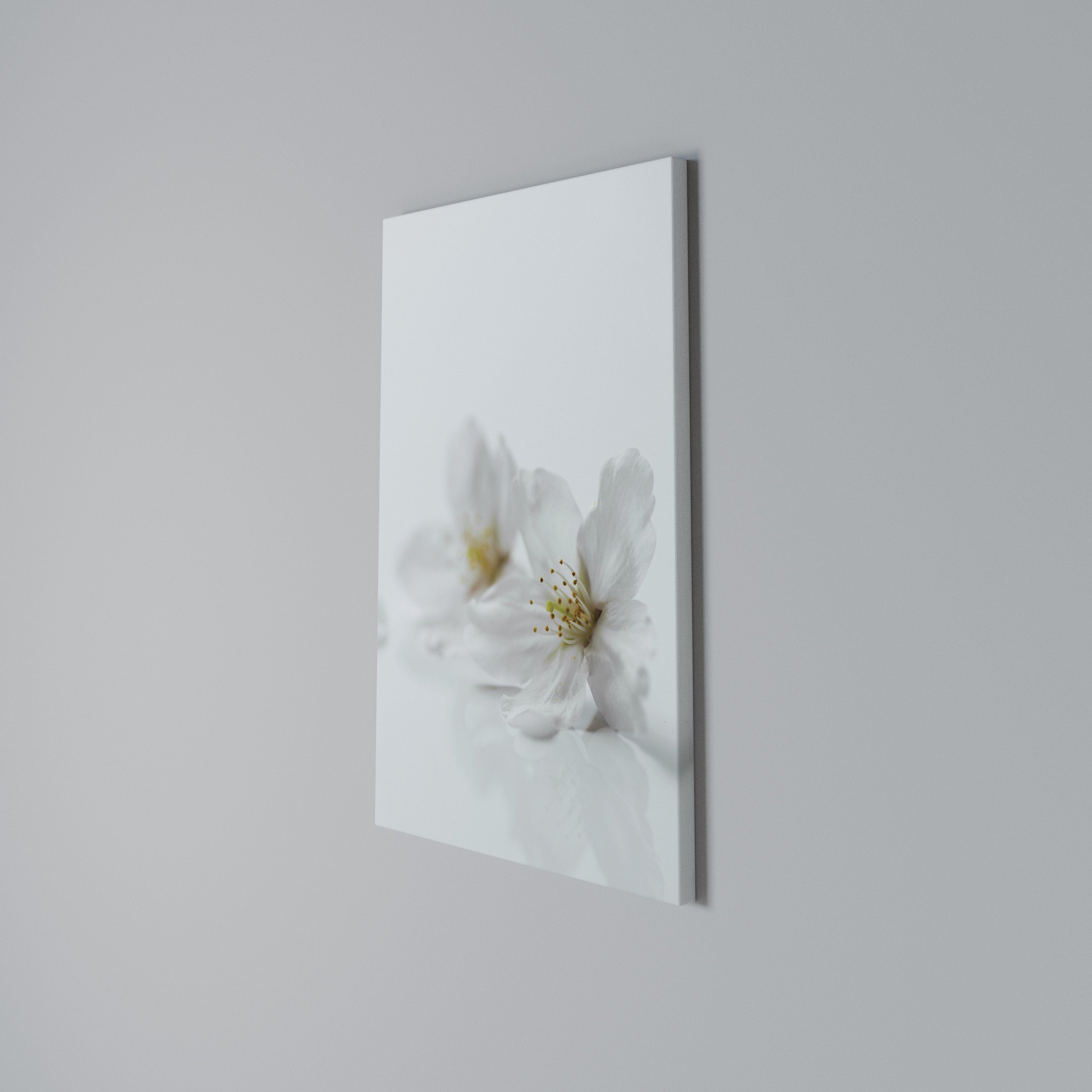 FLEETING WHITE PETALS Quadro em tela vertical