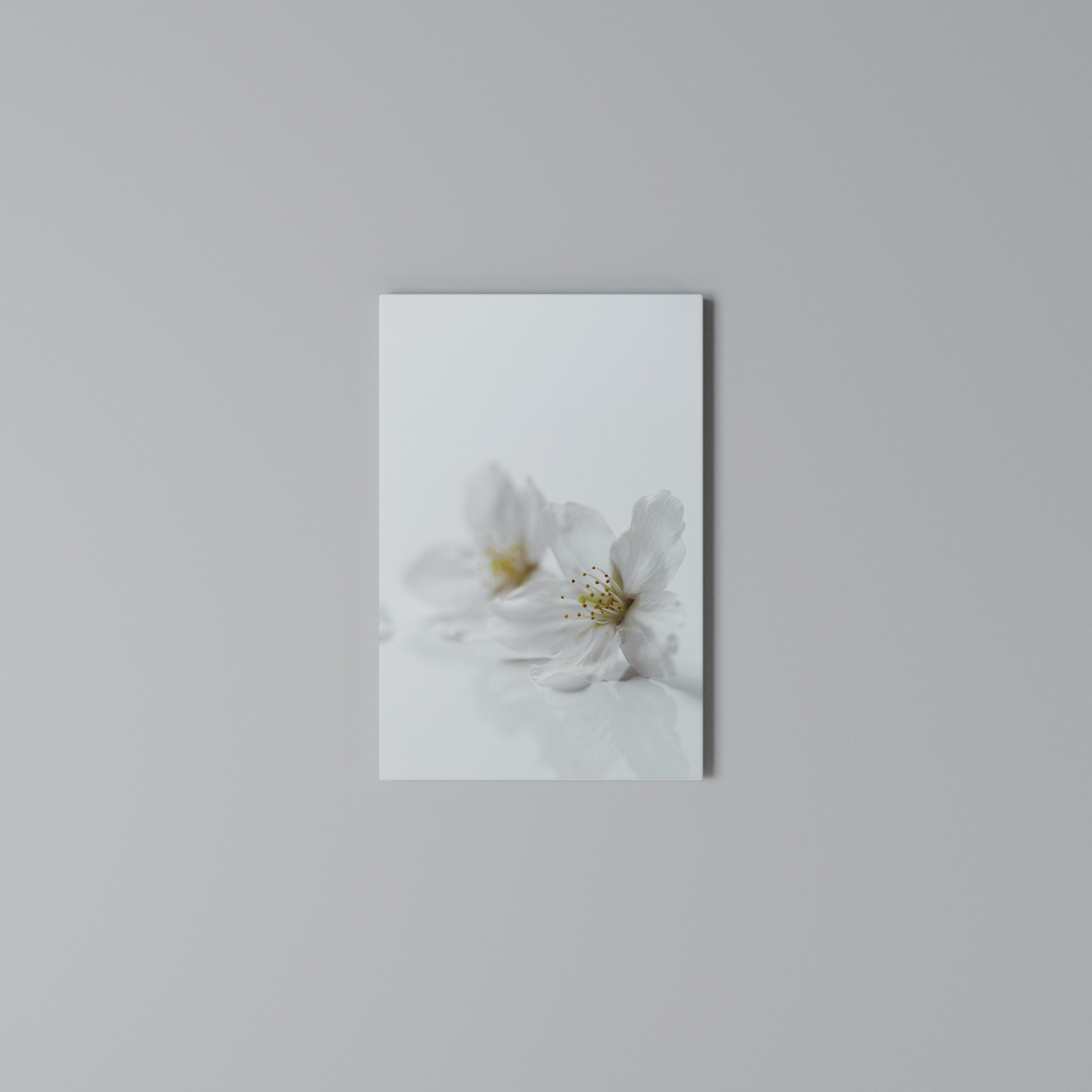 FLEETING WHITE PETALS Quadro em tela vertical