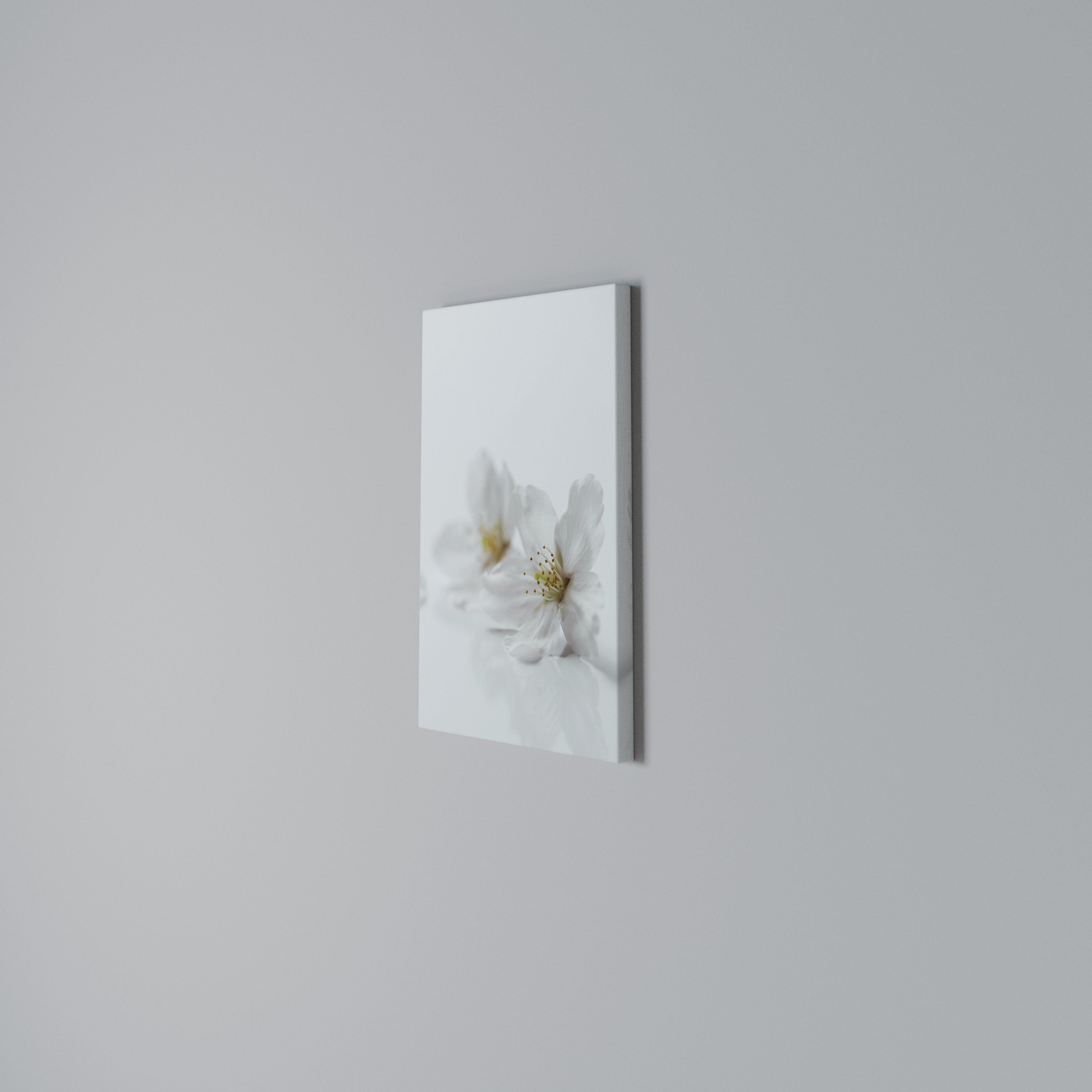 FLEETING WHITE PETALS Quadro em tela vertical