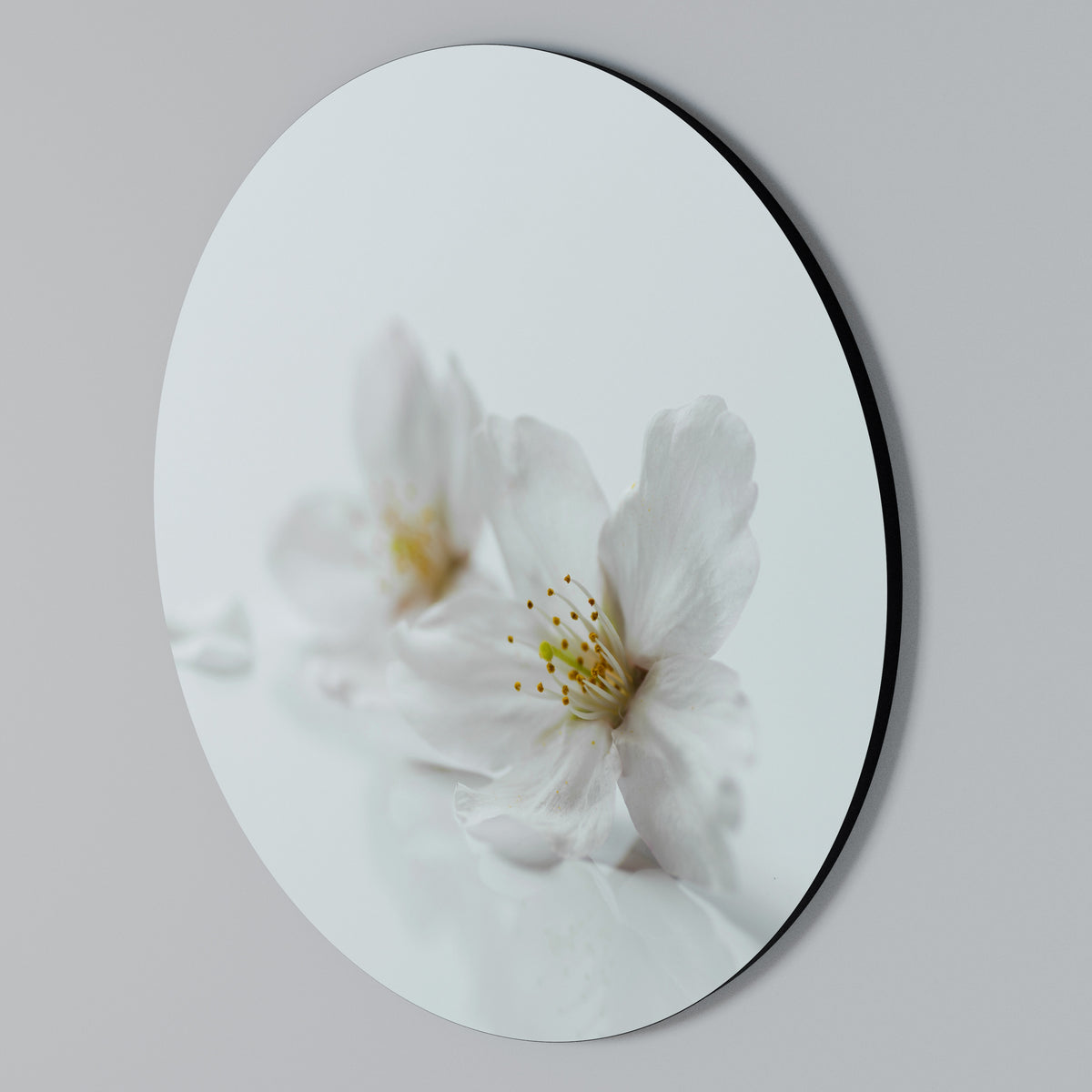 FLEETING WHITE PETALS Arte de pared redondo