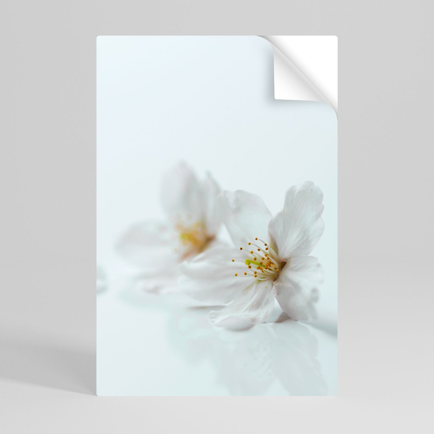 FLEETING WHITE PETALS Självhäftande Vertikal Poster