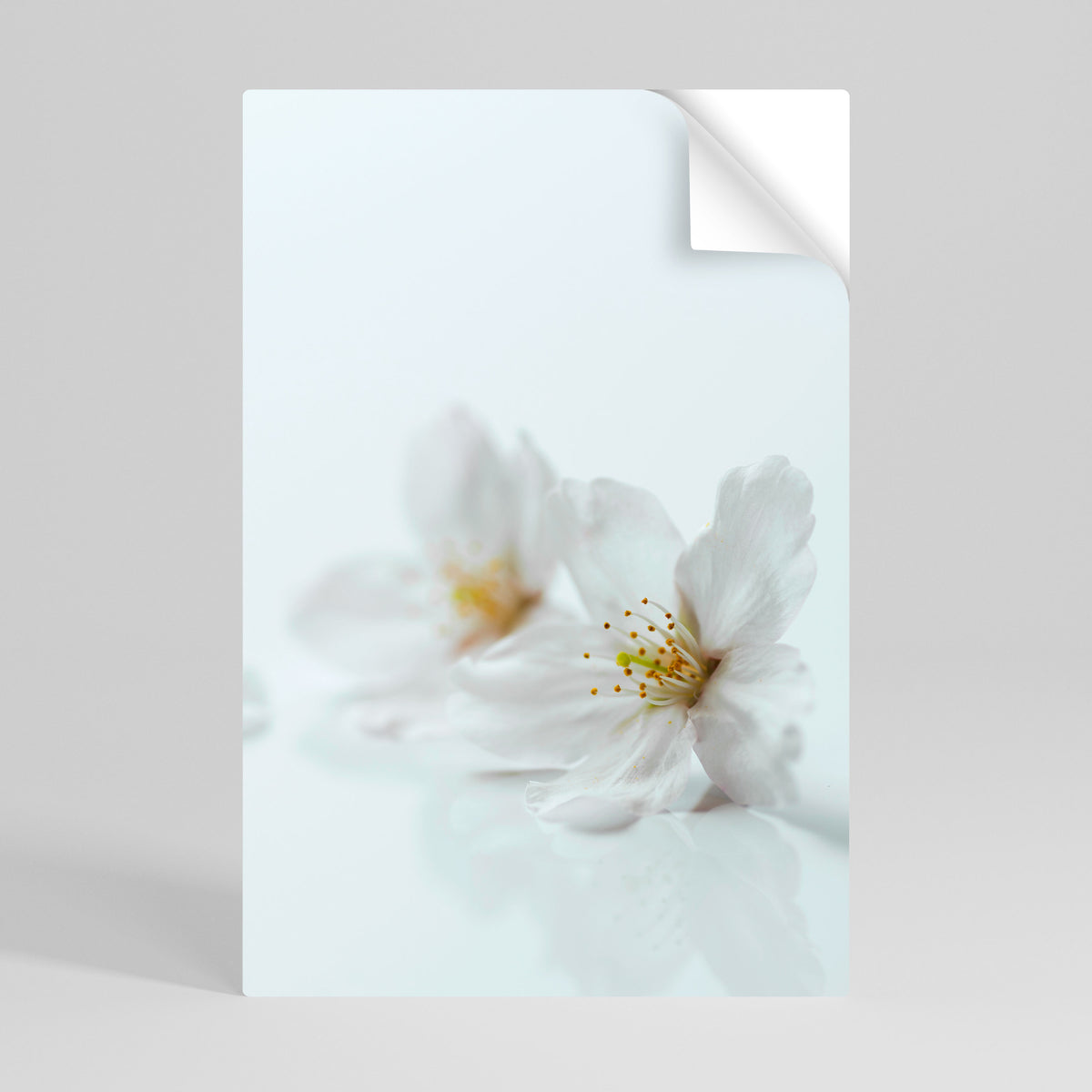 FLEETING WHITE PETALS Självhäftande Vertikal Poster