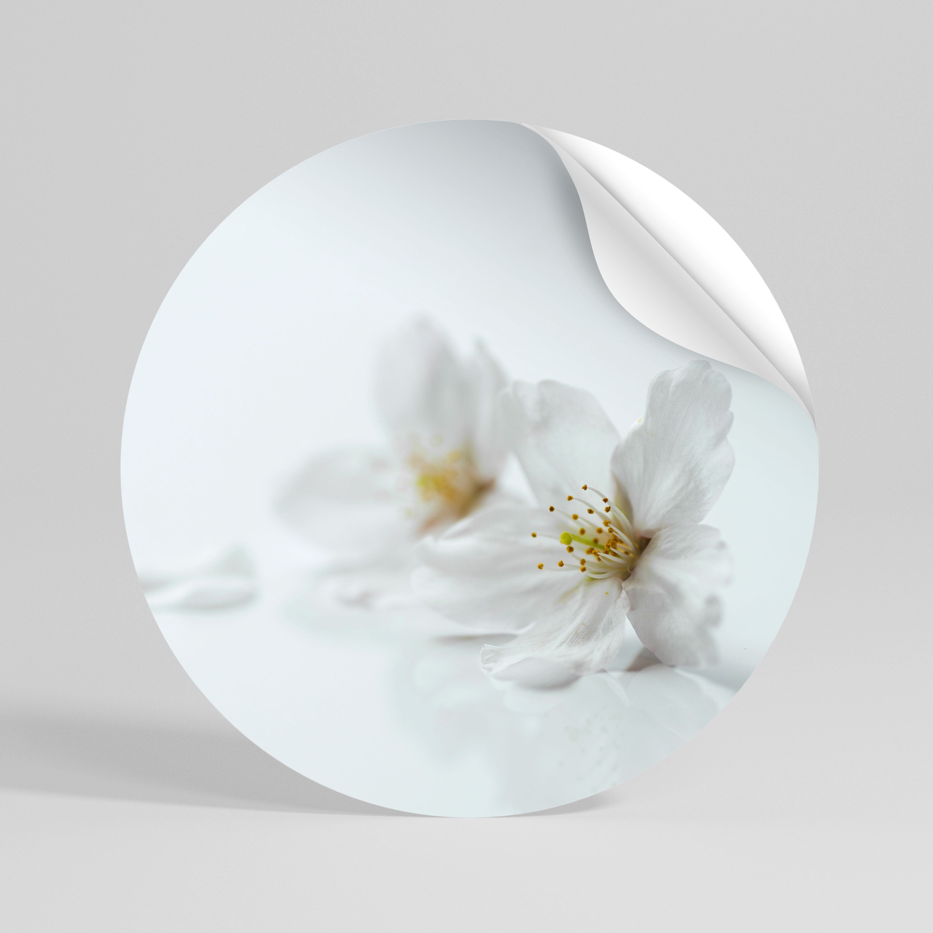 FLEETING WHITE PETALS Peel and Stick Round Sticker
