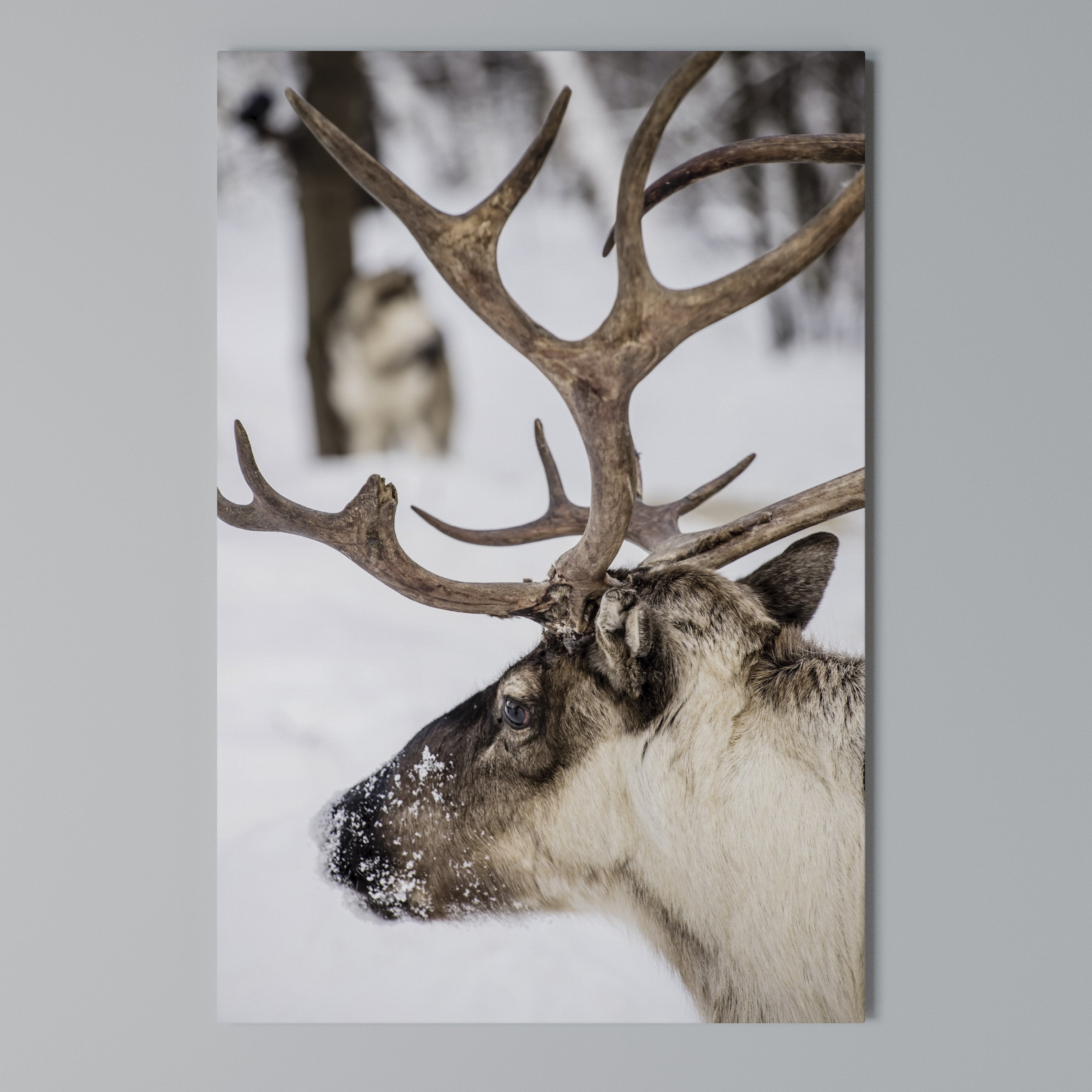 WHISPERS OF FROST Quadro em tela vertical