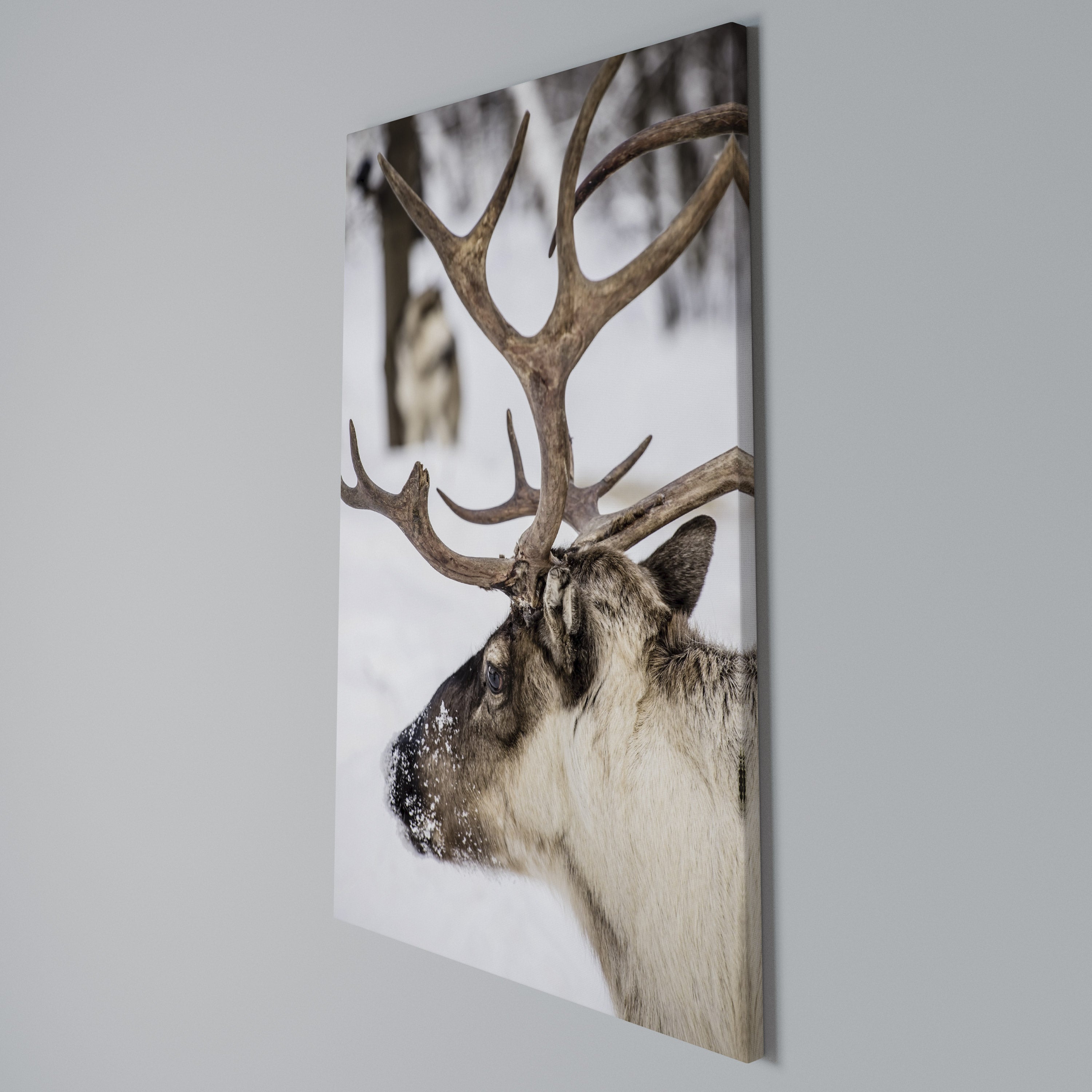WHISPERS OF FROST Quadro em tela vertical