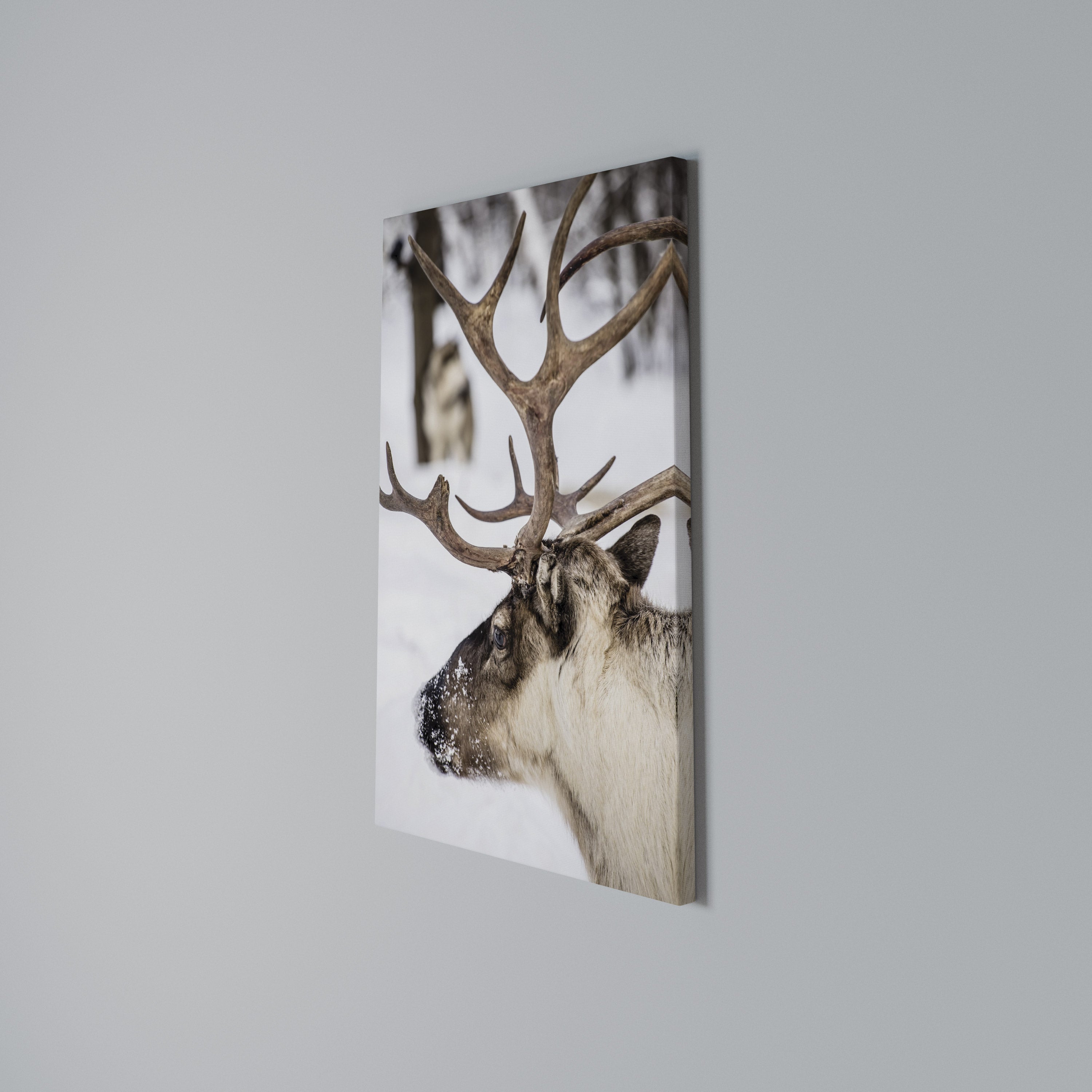 WHISPERS OF FROST Quadro em tela vertical
