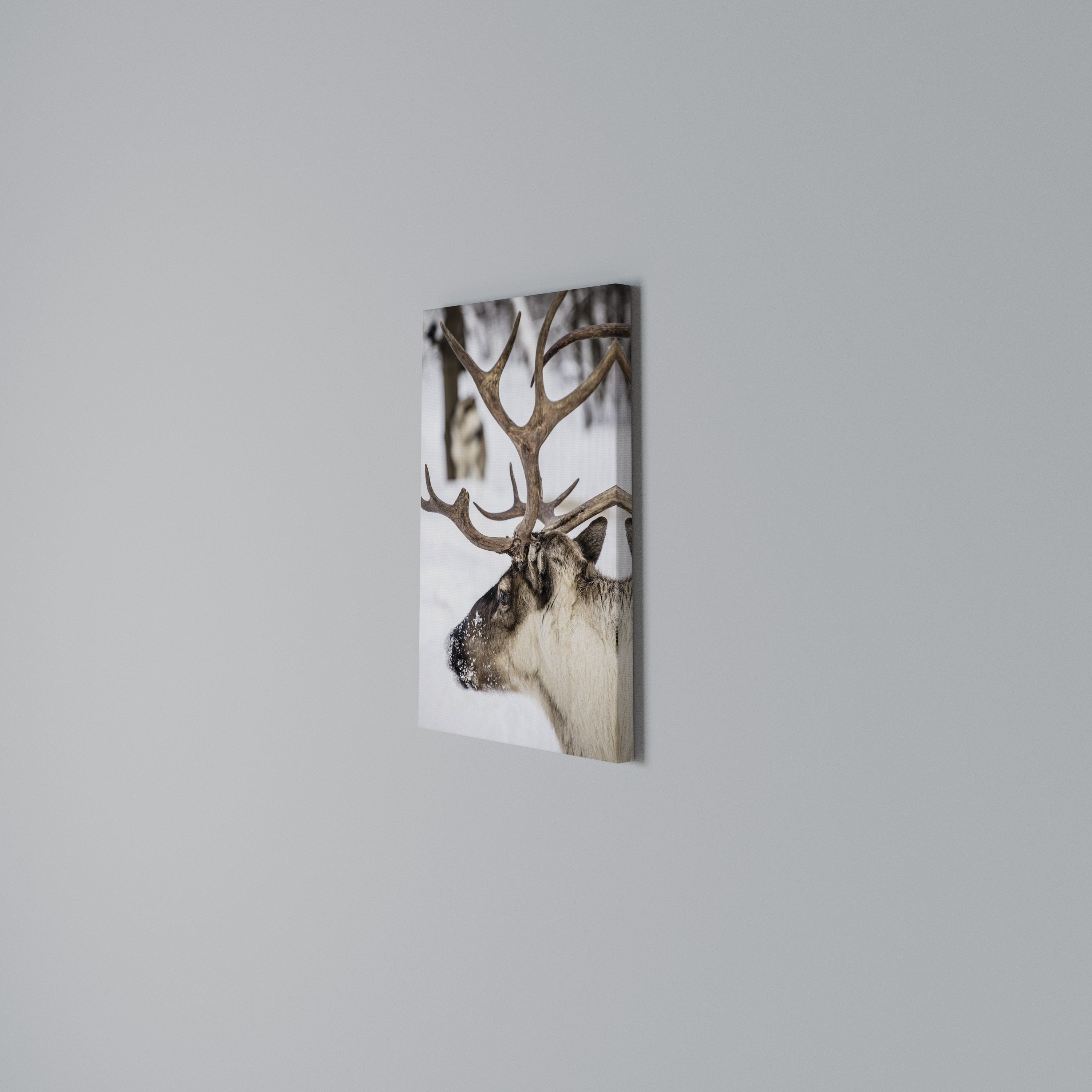 WHISPERS OF FROST Quadro em tela vertical