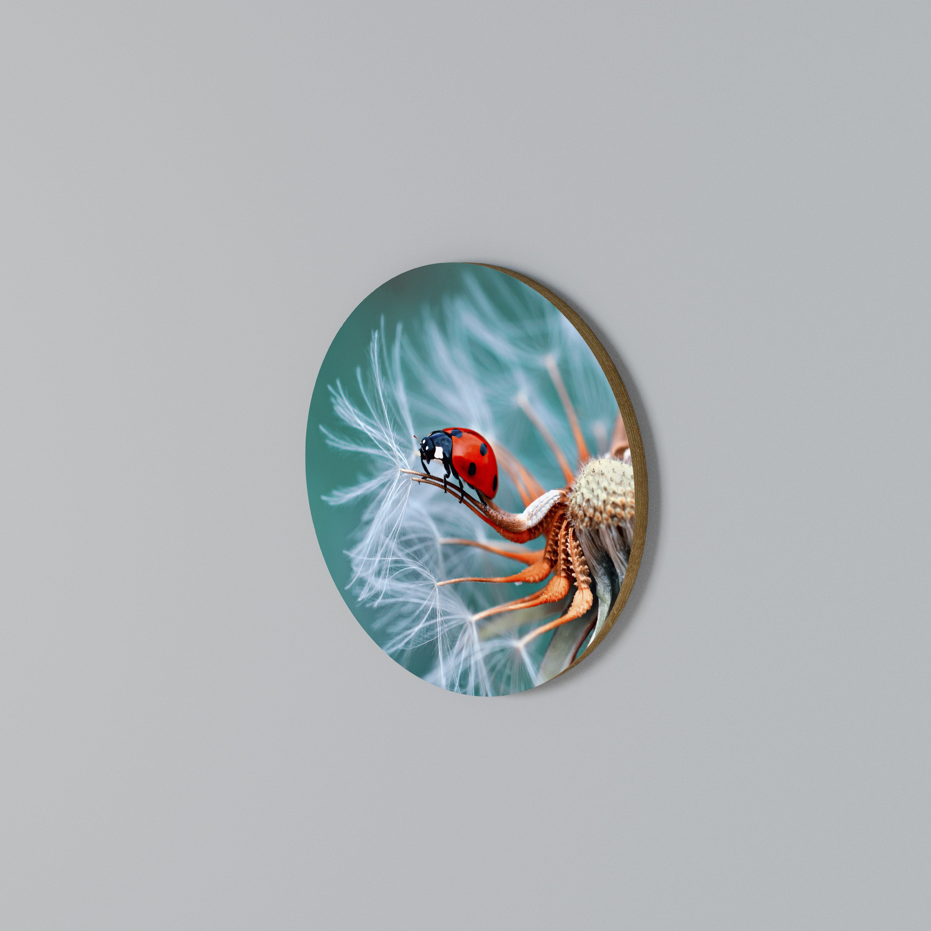 LADYBUG BALANCE Round Wall Art