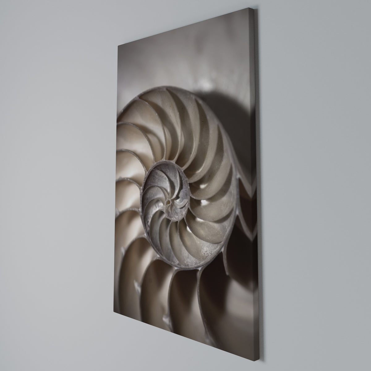 WHISPERS OF SHELLS Quadro em tela vertical