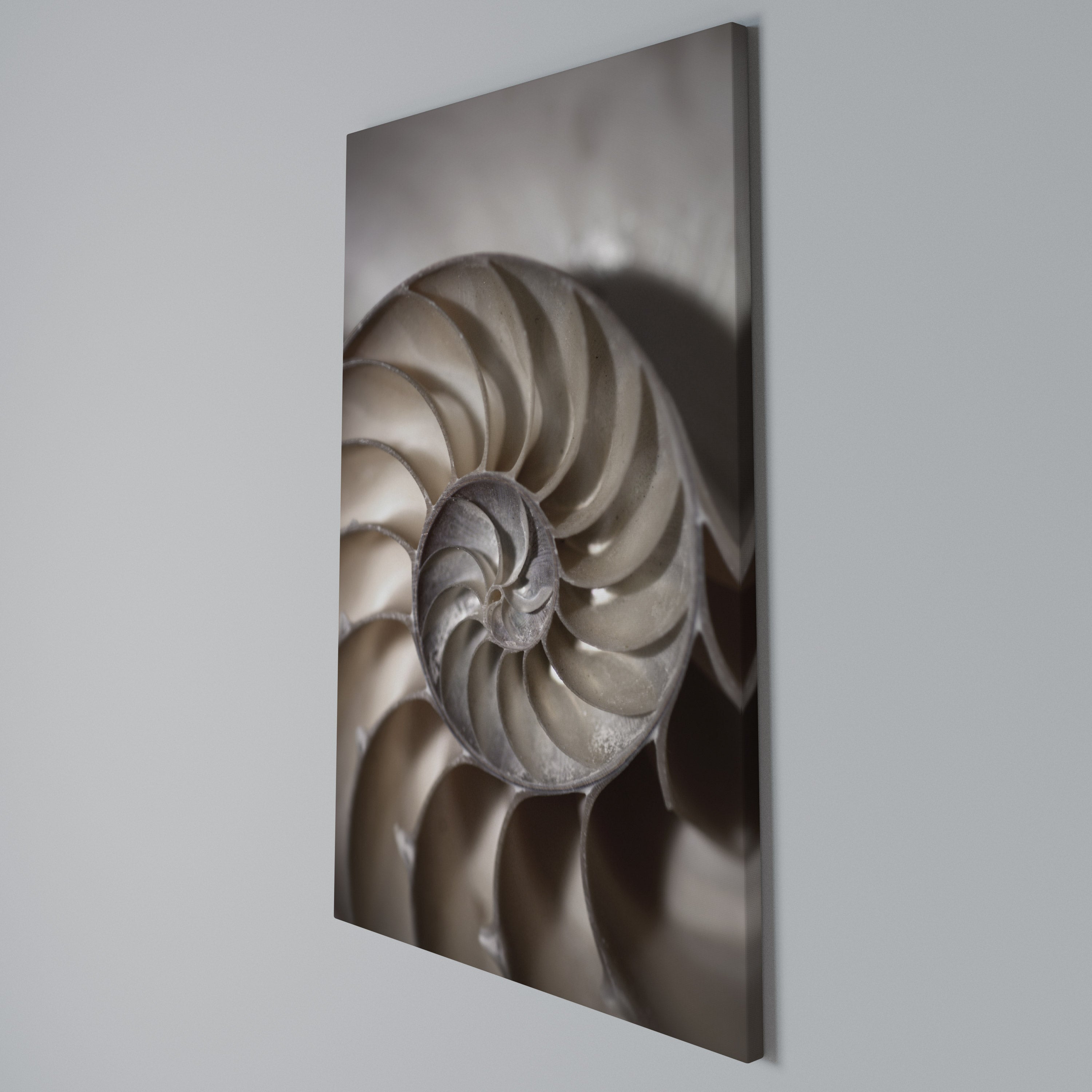 WHISPERS OF SHELLS Quadro em tela vertical