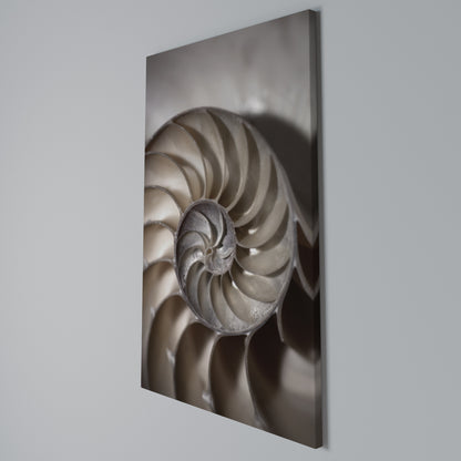 WHISPERS OF SHELLS Quadro em tela vertical