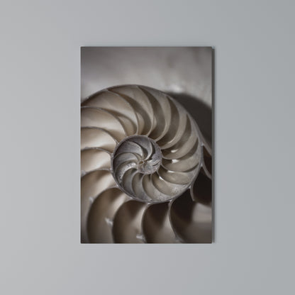 WHISPERS OF SHELLS Quadro em tela vertical