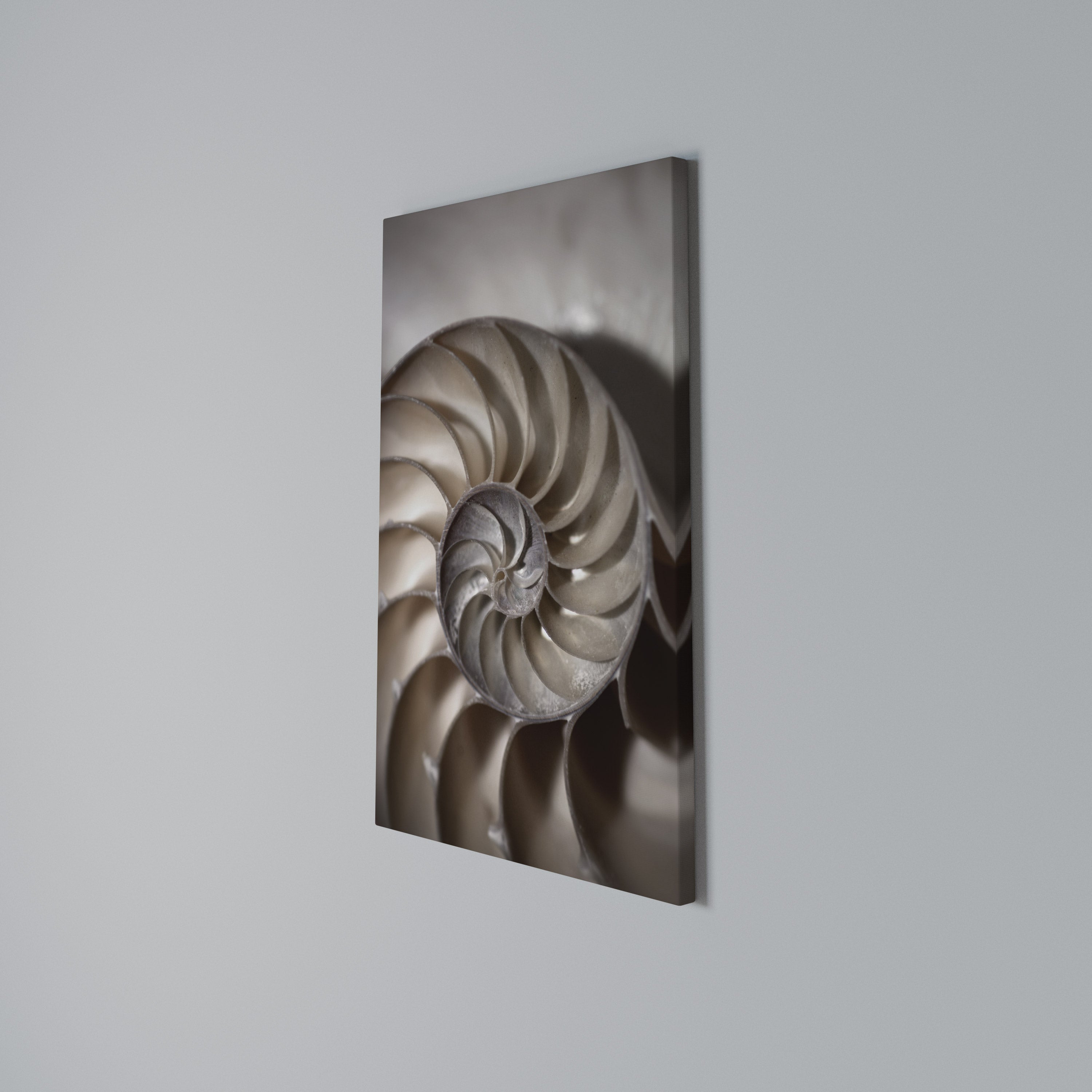 WHISPERS OF SHELLS Quadro em tela vertical