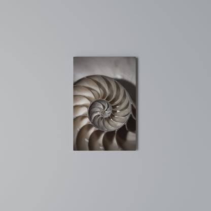 WHISPERS OF SHELLS Quadro em tela vertical