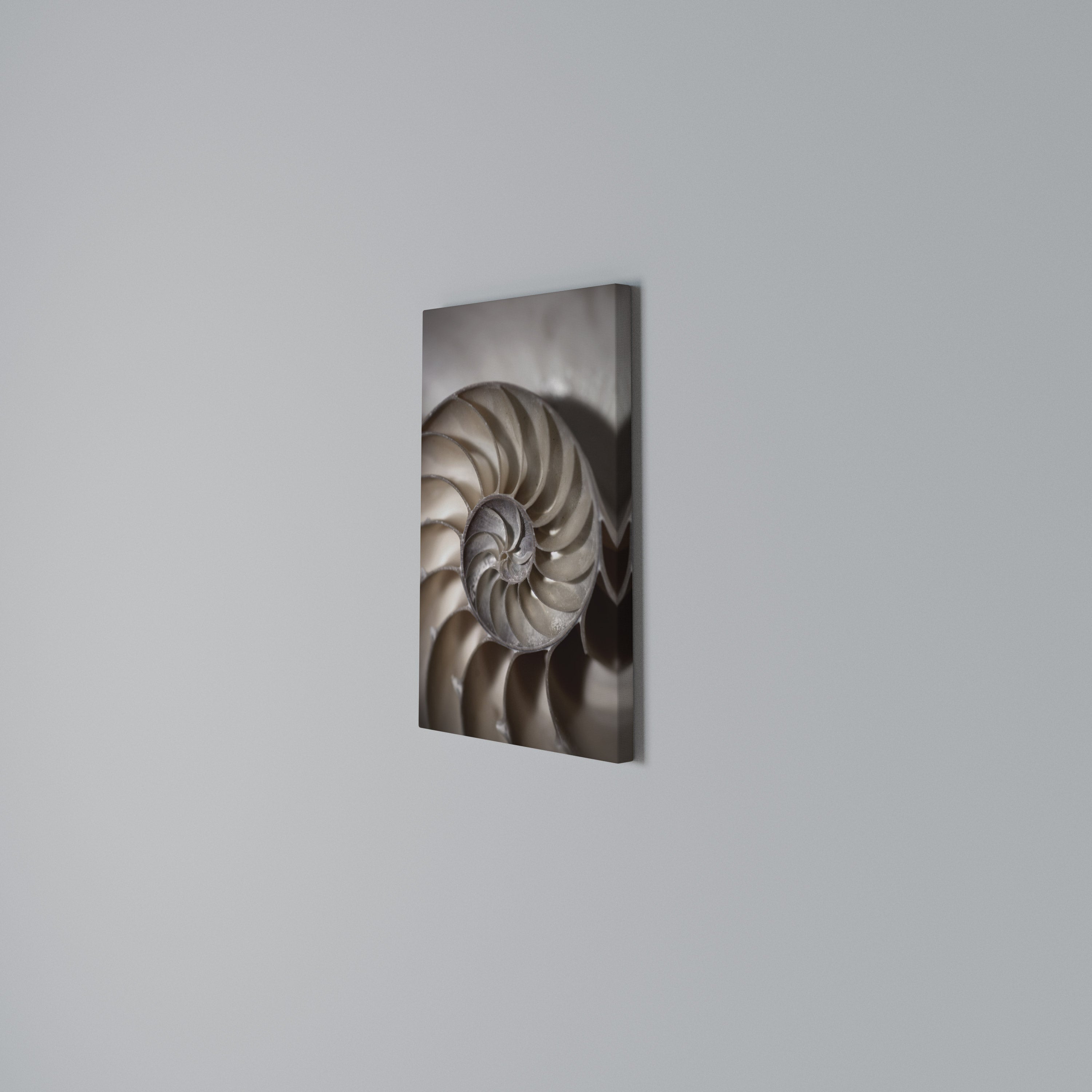 WHISPERS OF SHELLS Quadro em tela vertical