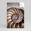 WHISPERS OF SHELLS Peel and Stick Vertical Poster