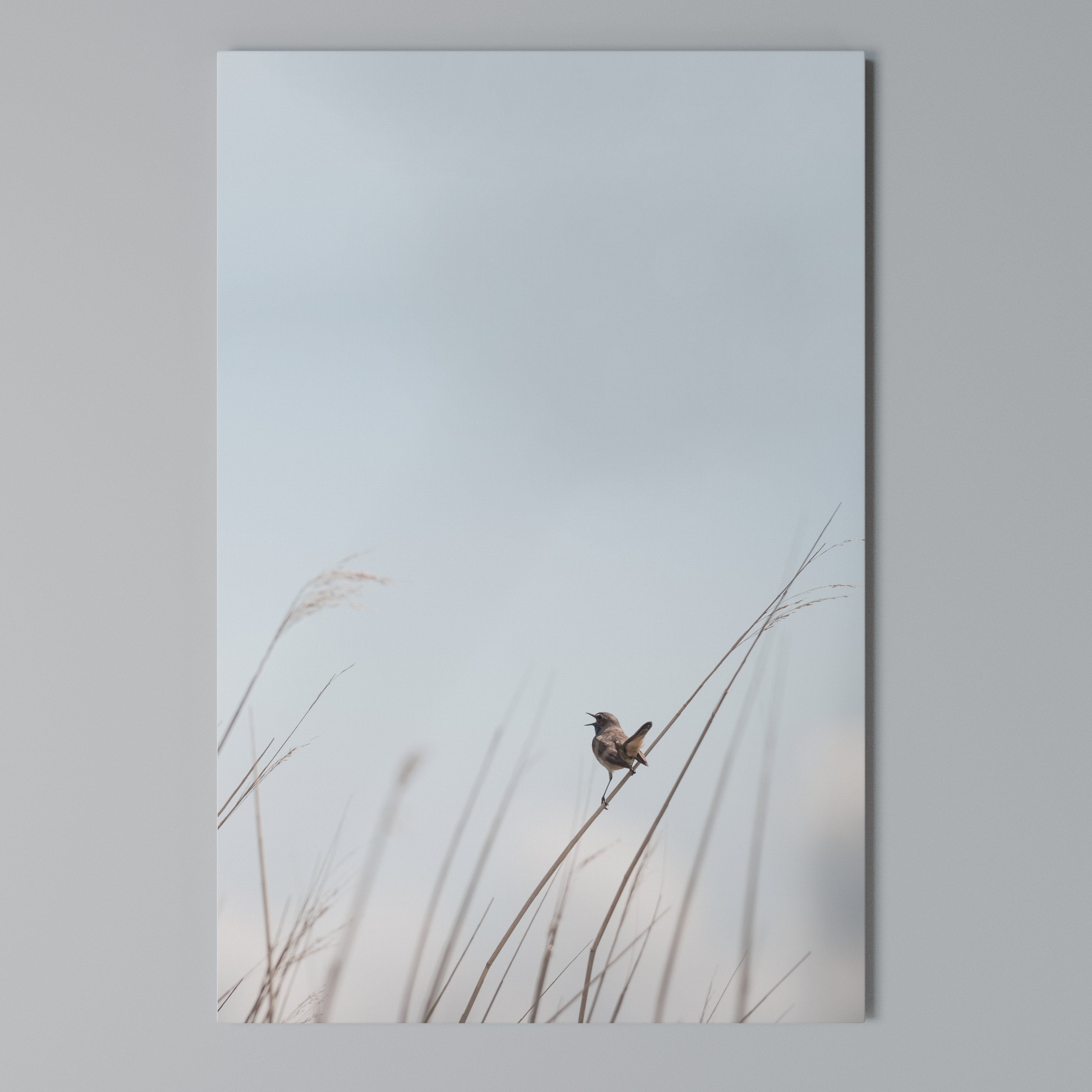 NATURE'S CHORUS Quadro em tela vertical