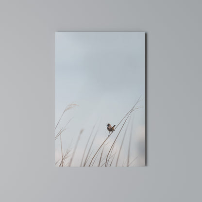 NATURE'S CHORUS Κατακόρυφος Πίνακας σε Καμβά