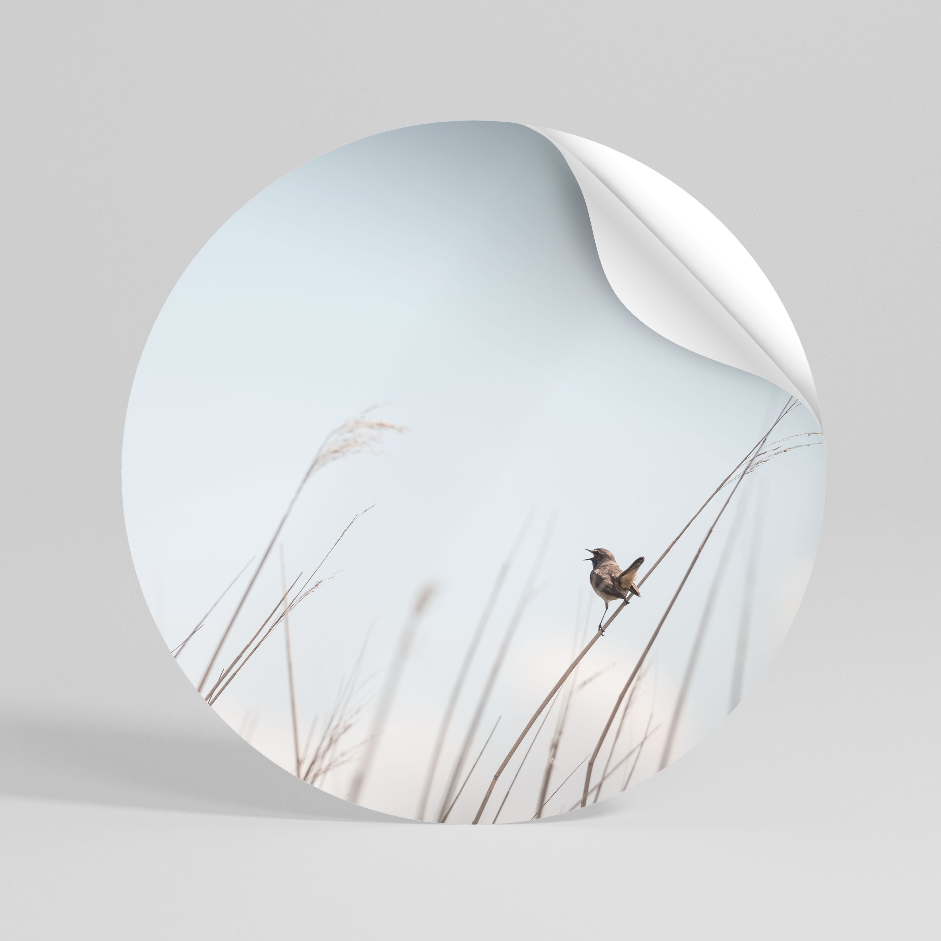 NATURE'S CHORUS Peel and Stick Round Sticker