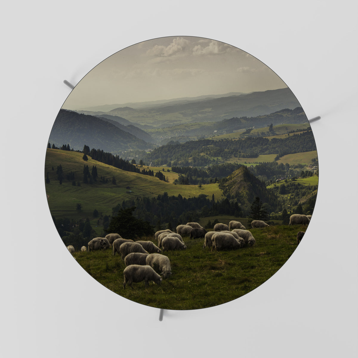 SHEEP IN SERENITY Mesa de Centro