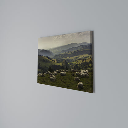 SHEEP IN SERENITY Stampa su tela orizzontale
