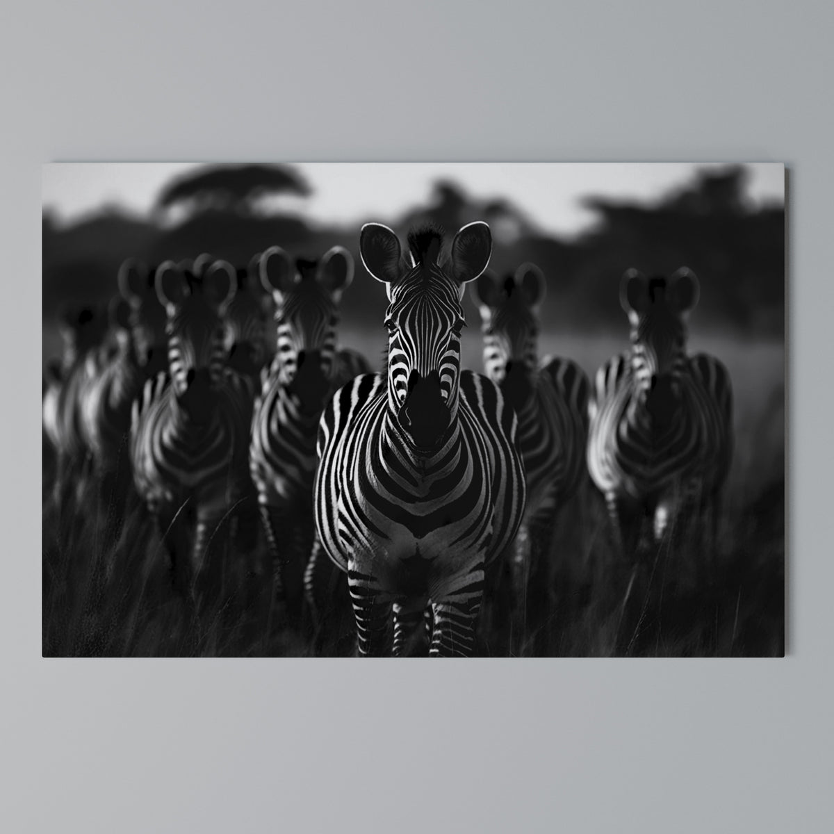 STRIPED SYMPHONY SAGA Stampa su tela orizzontale