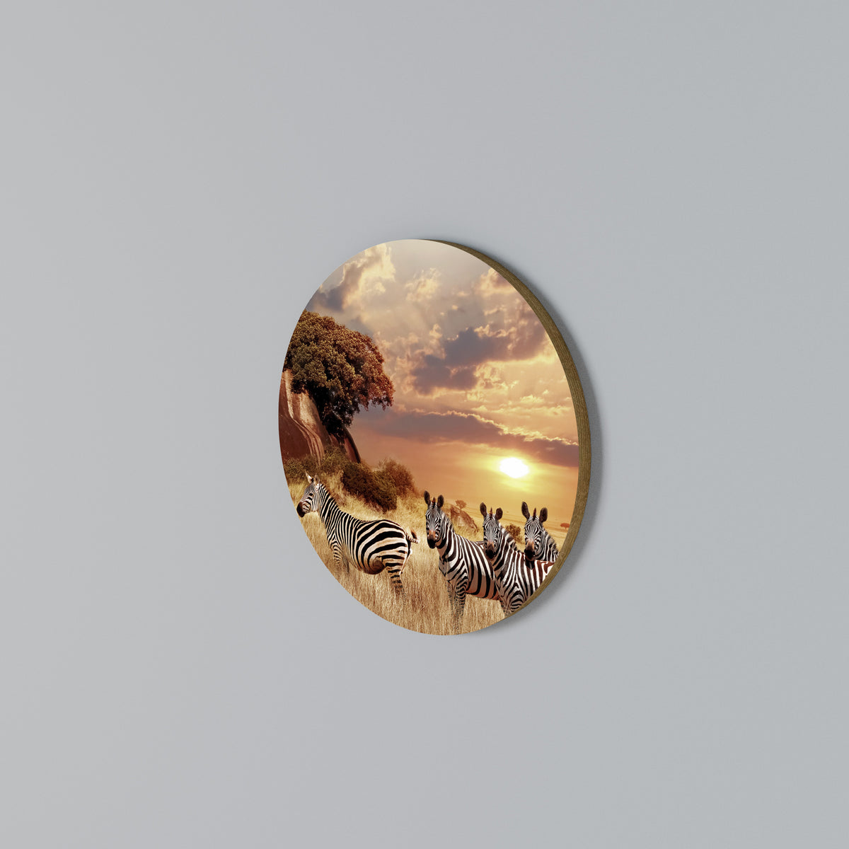 ZEBRA SUNSET SERENADE Arte de pared redondo