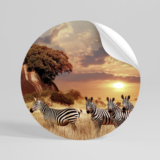 ZEBRA SUNSET SERENADE Αυτοκόλλητη Αφίσα στρογγυλή