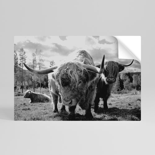 STILLNESS OF OLD SOULS Självhäftande Horisontell Poster