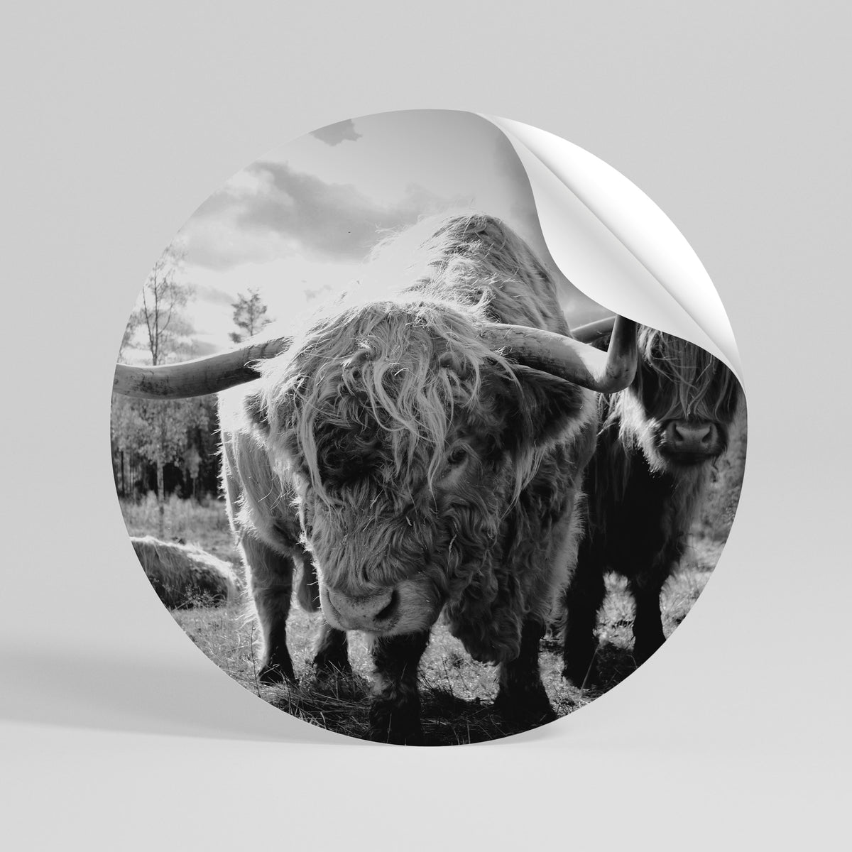 STILLNESS OF OLD SOULS Runder Wandsticker zum Abziehen und Aufkleben