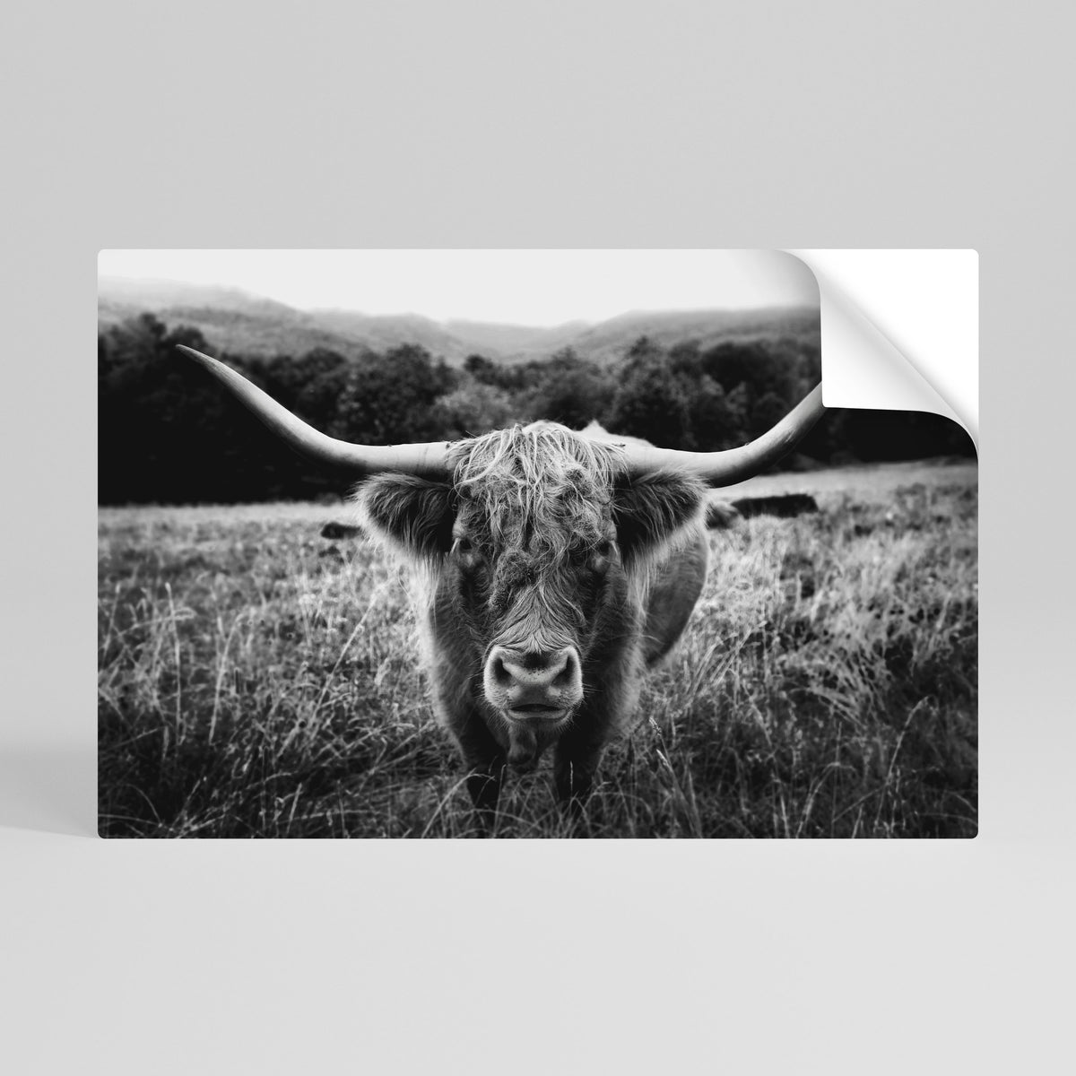 HORNED HERO IN FOCUS Poster Orizzontale Adesivo