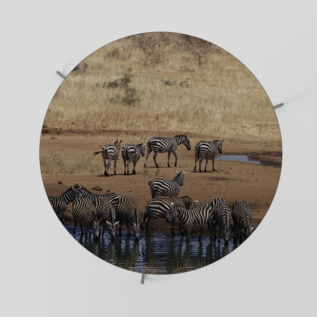 THE ZEBRA HARMONY Coffee Table