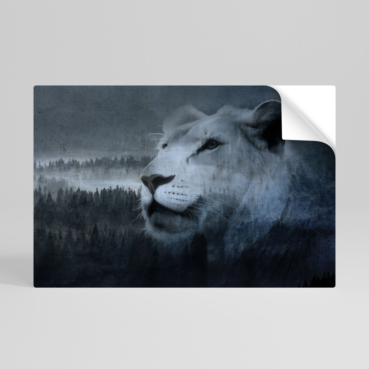 LION'S HARMONY IN BLUE Poster Orizzontale Adesivo