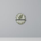 VERDANT ARINI Decorative Art Shelf