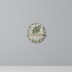 VERDANT ARINI Decorative Art Shelf