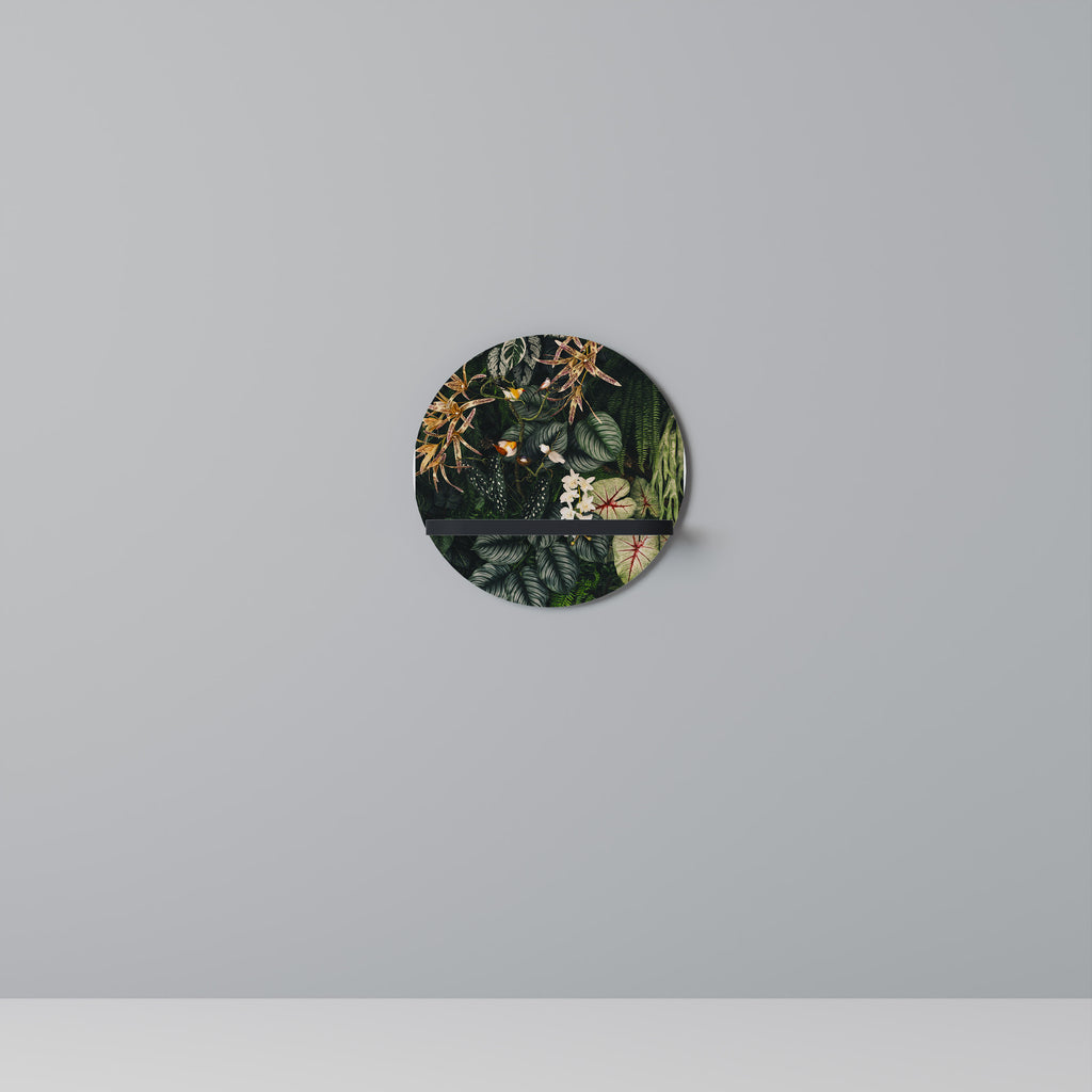 VERDANT ARINI Decorative Art Shelf