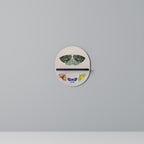 MOTH INTO THE LIGHT Decorative Art Shelf