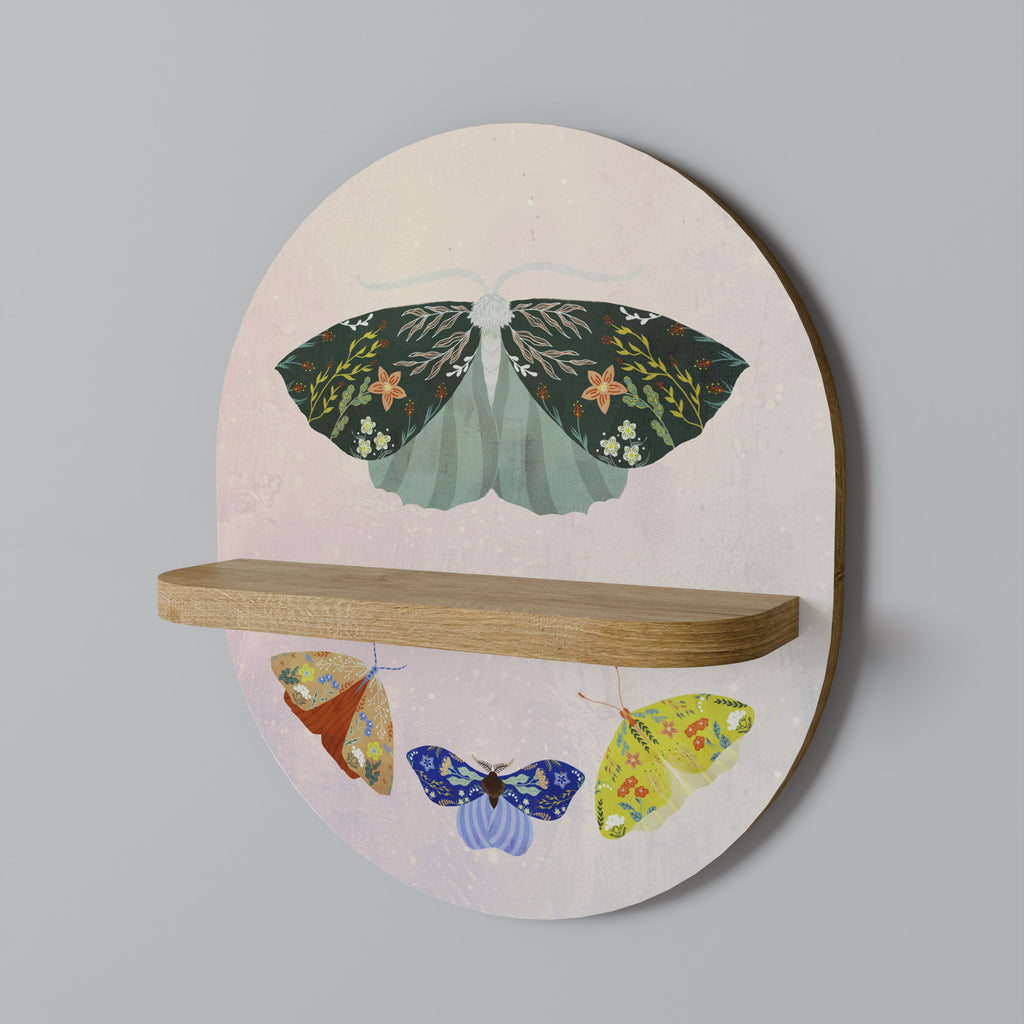 MOTH INTO THE LIGHT Decorative Art Shelf