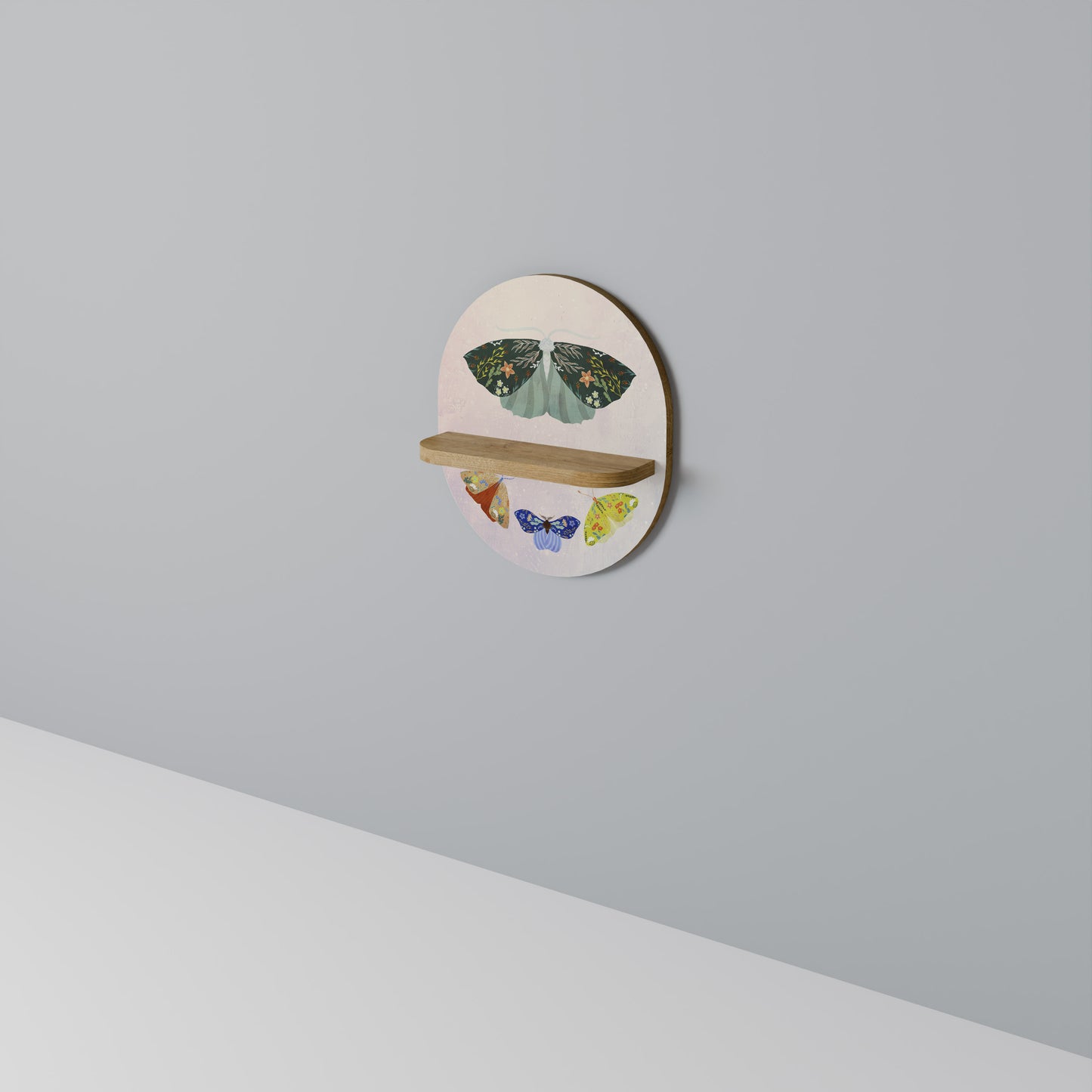 MOTH INTO THE LIGHT Art Shelf