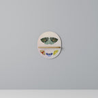 MOTH INTO THE LIGHT Decorative Art Shelf